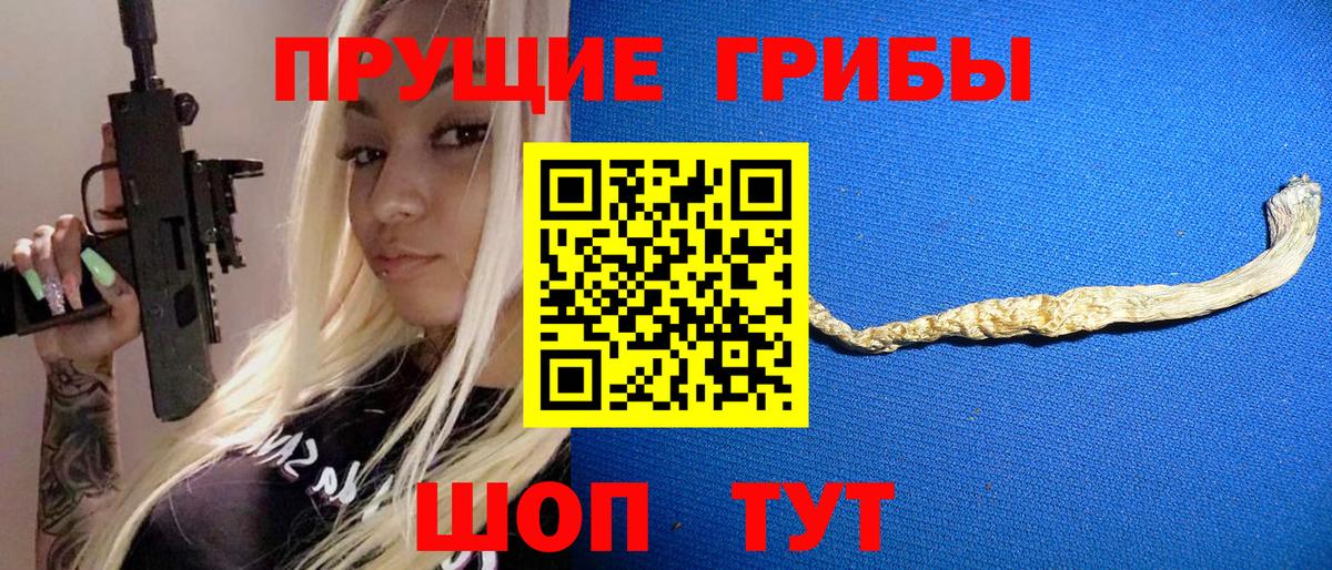 Псилоцибиновые грибы GOLDEN TEACHER Тосно