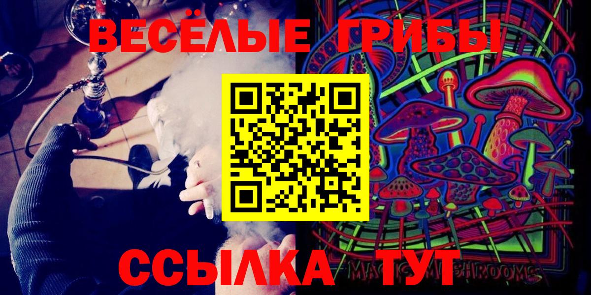 Галлюциногенные грибы Psilocybe  Вход с VPN  Тосно 